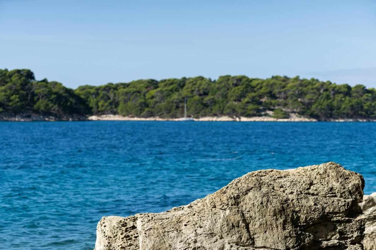 Juric Apartments-rab Apartma Palit